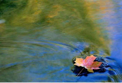 在艰难时期的风风雨雨中，改变的往往是我的心