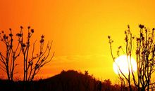 描写日落的比喻句