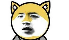 描写单身的句子