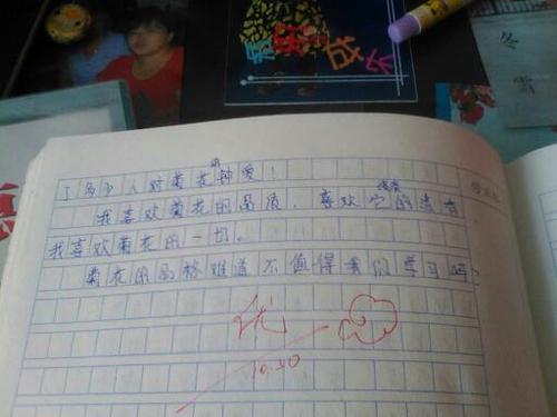 荷花是什么样的比喻