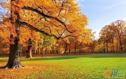 一段描述秋天风景的段落