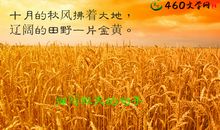 秋天来了的句子大全