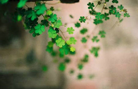 生活中不尽如人意的事情是在通往更美好未来的道路上给您奖牌1