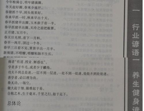 代表春天的谚语