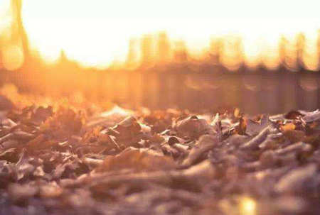 生活中不尽如人意的事情是在通往更美好未来的道路上给您奖牌