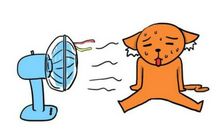 朋友圈逗比说说