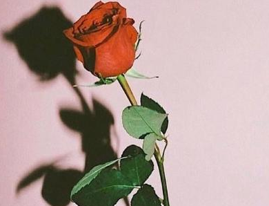 个性签名大全2019最新版学生