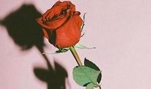 个性签名大全2019最新版的学生