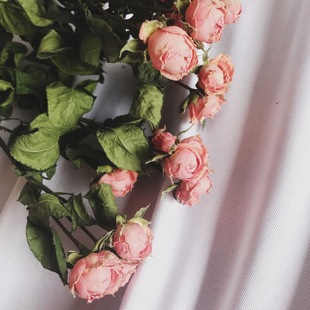 与女友开心的句子与女友开心的句子