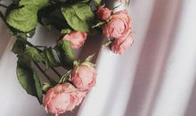 与闺蜜在一起开心的句子 表达跟闺蜜开心的句子