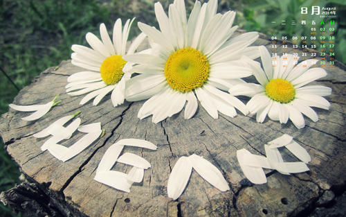 句子让你的女朋友开心句子让你的女朋友开心1