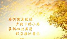 安慰想家的人的句子