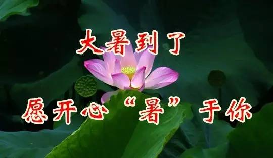 夏日祝福大讯息