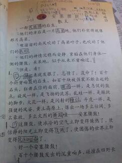 阳光使平行句子