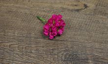 我们一起开心的句子 表达在一起开心的句子