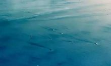 充满阳光正能量的短句