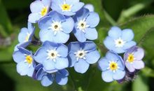 大家相聚开心的句子 朋友相聚很开心的短句