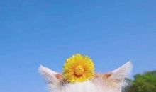 五一朋友圈的句子