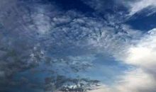 关于看风识天气的谚语