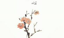 表示我爱你的诗句