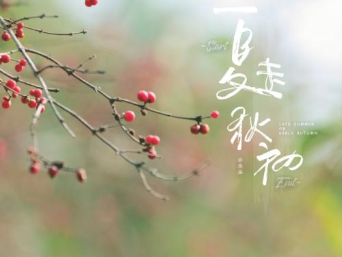 描绘夏末秋初的诗