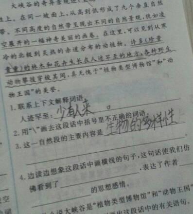 微笑看起来像什么比喻