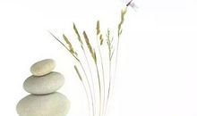 禅意人生的句子