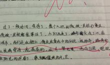 描写教师的优美句子