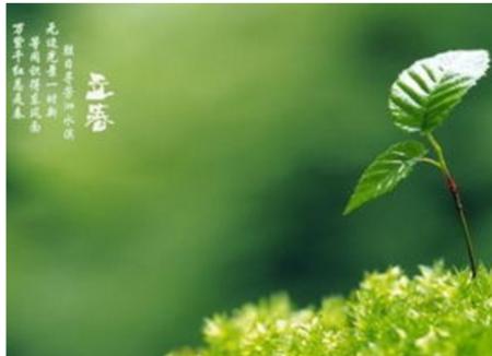 关于春天的谚语