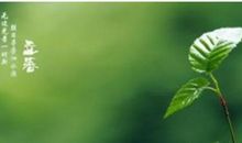 与春有关的谚语