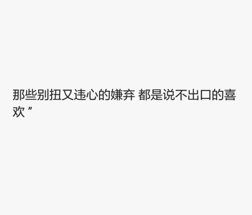 关于不放弃爱的一句话