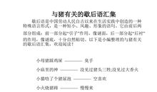 有关帽子的歇后语