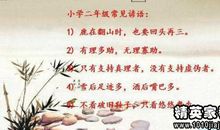 保护鸟类的谚语