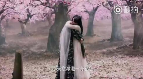 三生三世十里桃花经典行