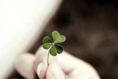 从来没有过谦虚的生活,只有谦虚的态度