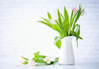 从来没有过谦虚的生活,只有谦虚的态度1