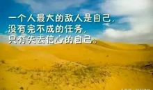 职场励志正能量句子