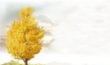 表达秋天的句子