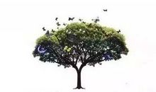 关于不抱怨的句子