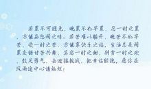 表达工作的句子