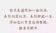 简短的表白情话