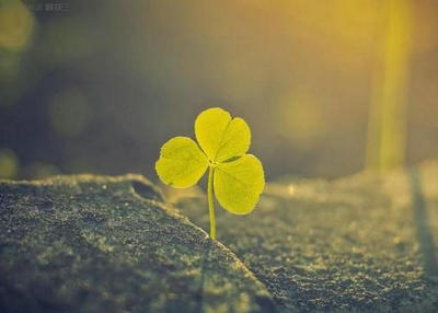 不要与过去相处，因为它最终会过去1