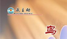 有关鸟类的谚语