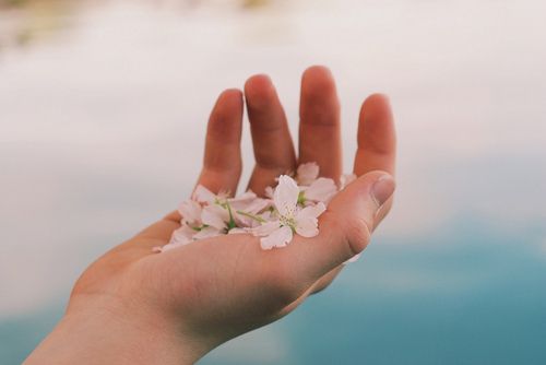 将爱带到最后经典行