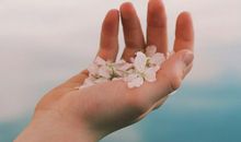 将爱情进行到底经典台词