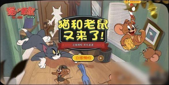 老鼠和猫玩游戏