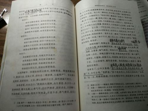 好句子和无奈的段落