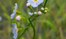 朋友圈发表生活苦的句子