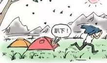 马蜂蜇秃子歇后语