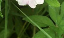 放在朋友圈好句子